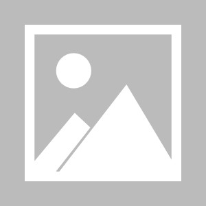 Kaiyun 平台-哈兰德2球难救主 多特死穴被打爆，2连败后掉出前4